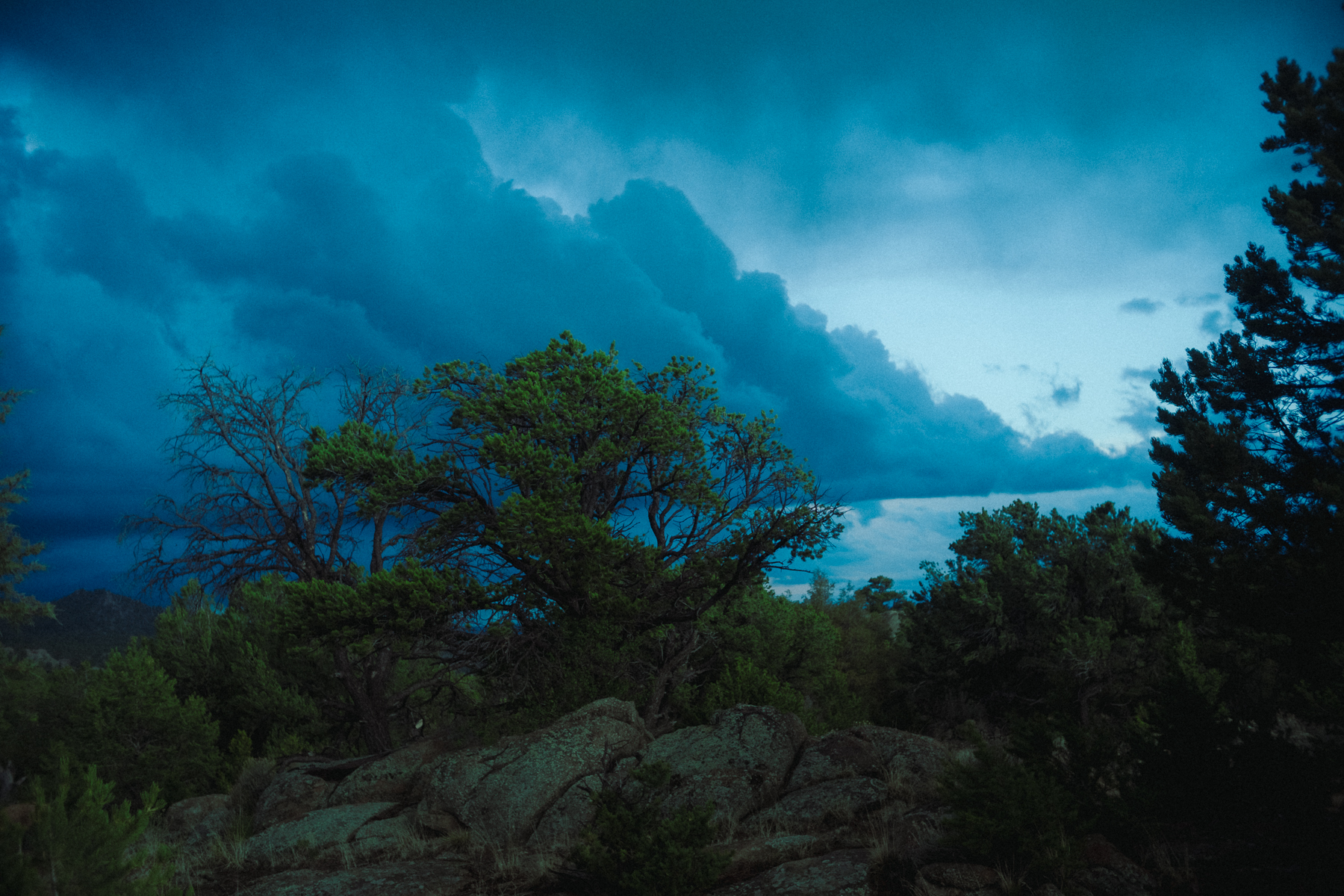 Dramatic storm clouds gathering over trees at dusk